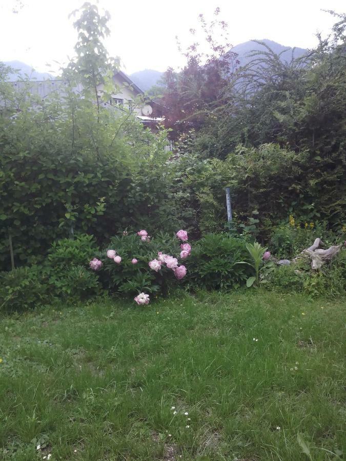 Ferienwohnung Karin Humer บาดอิสชิล ภายนอก รูปภาพ